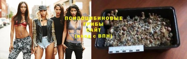 бошки Михайлов