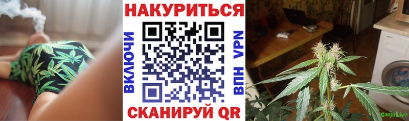 Купить закладки  Миасс  Бошки Шишки конопля 